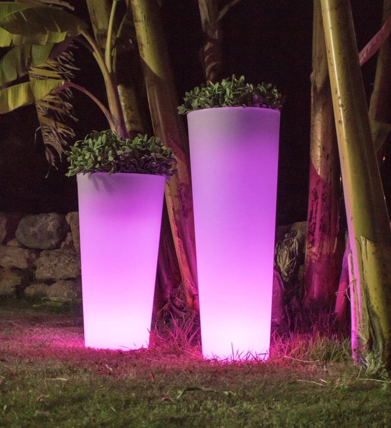 Pot cylindrique haut à fonction lumineuse collection Ficus par New Garden à Nantes