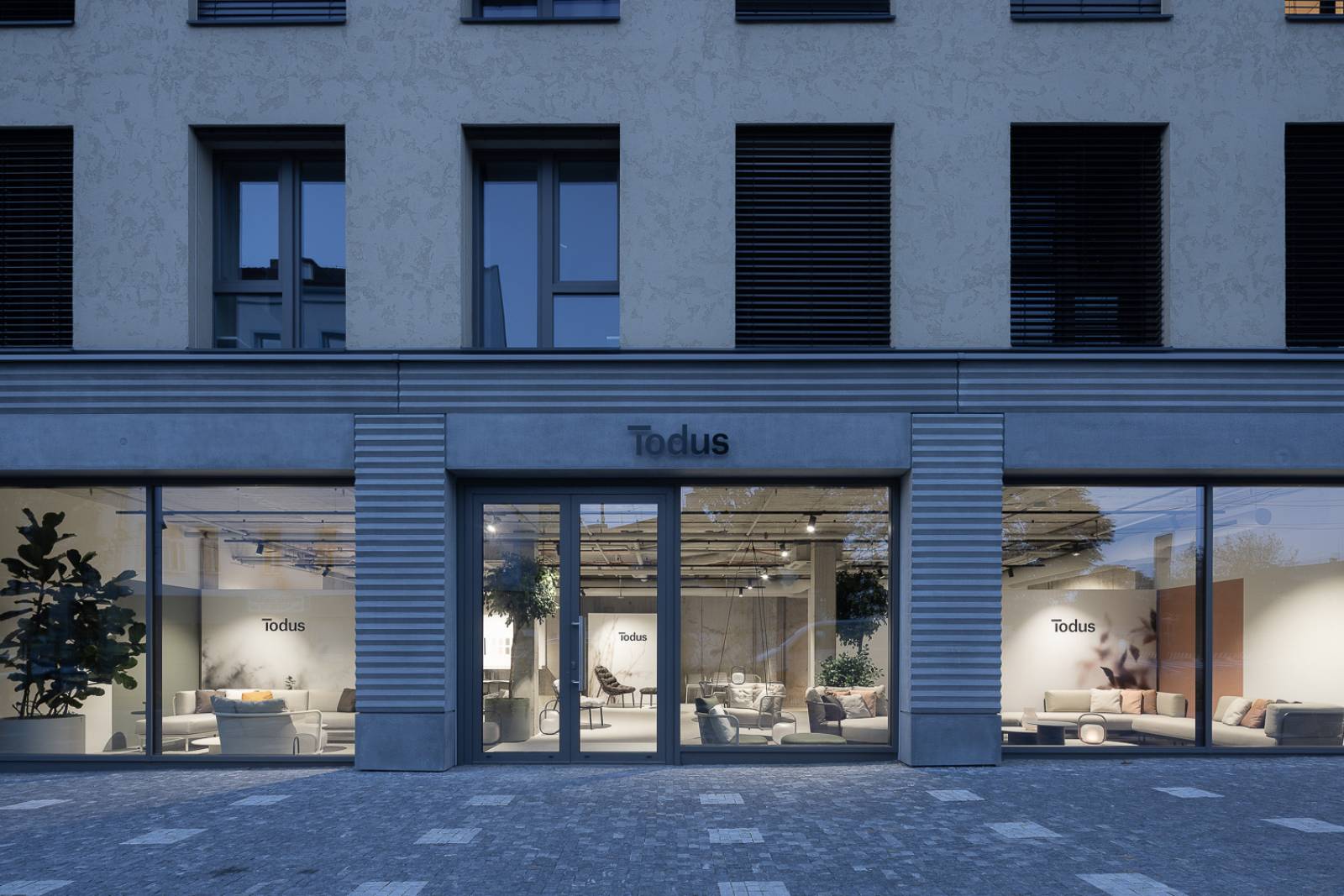 Interface du showroom Todus