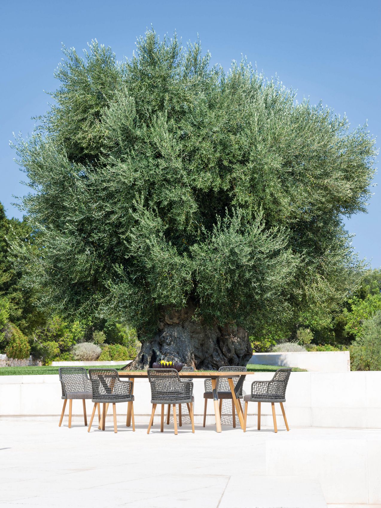 Fauteuil de repas design avec le dossier en cordes tressées collection Emma par Varaschin