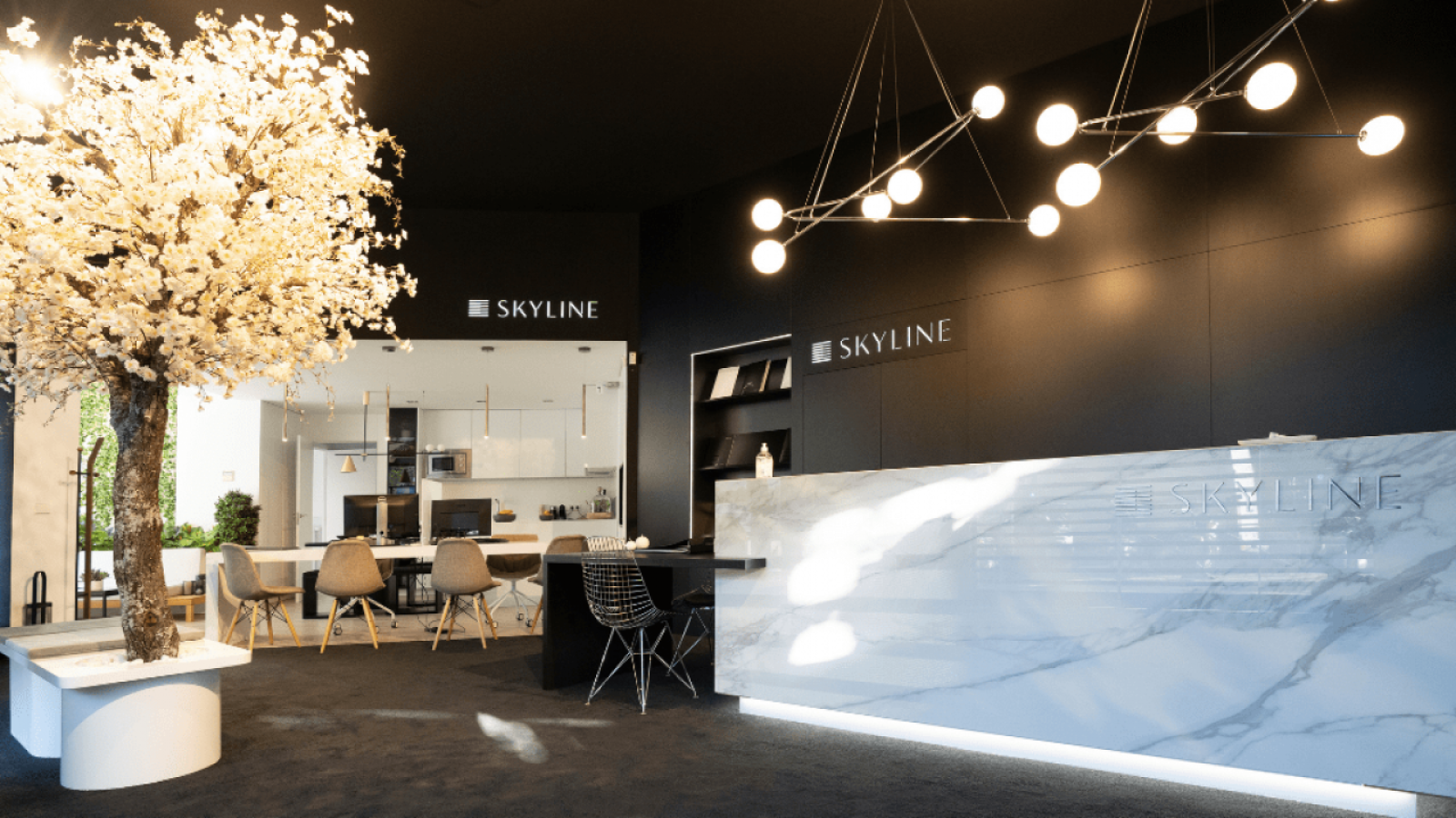 Aperçu du showroom Skyline